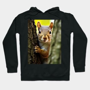 squirrel looking at you Hoodie